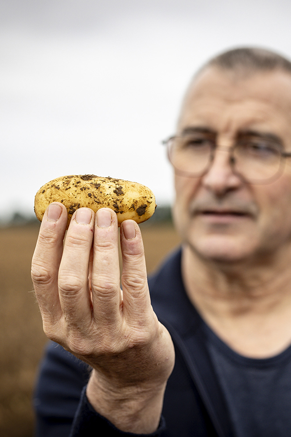 Nédélec, conditionnement et expédition de pommes de terre de consommation. Suivi qualité du champ au carton. Joël, responsable relations producteurs, sur le terrain.