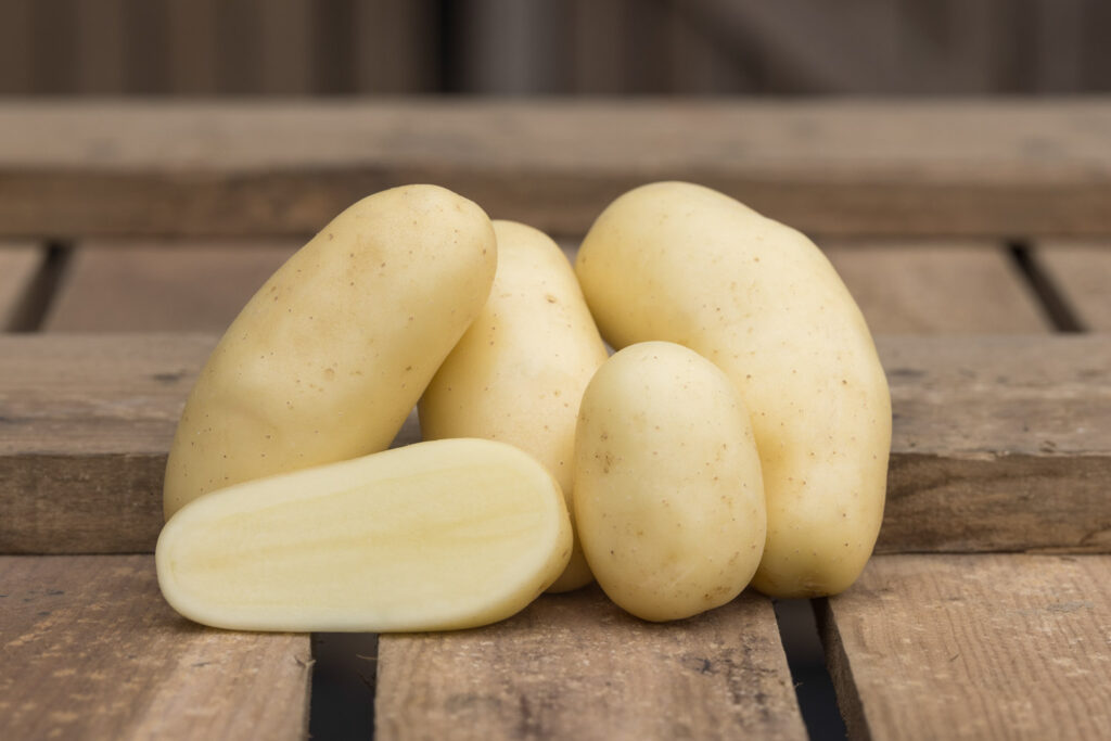 Celtiane, pomme de terre à peau blanche, à chair ferme et aux multiples qualités, largement plébiscitée pour son goût et sa polyvalence en cuisine. Conditionnement en filet ou carton. Nédélec, conditionnement et expédition de pommes de terre de consommation : grossistes, distributeurs, importateurs, restaurateurs.