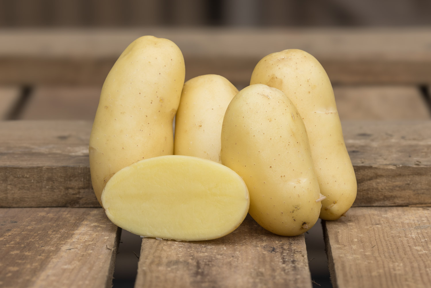 Elegante, Pomme de terre à peau fine et dorée, chair ferme, texture fondante et son goût délicat. Conditionnement en filet ou carton. Nédélec, conditionnement et expédition de pommes de terre de consommation : grossistes, distributeurs, importateurs, restaurateurs.