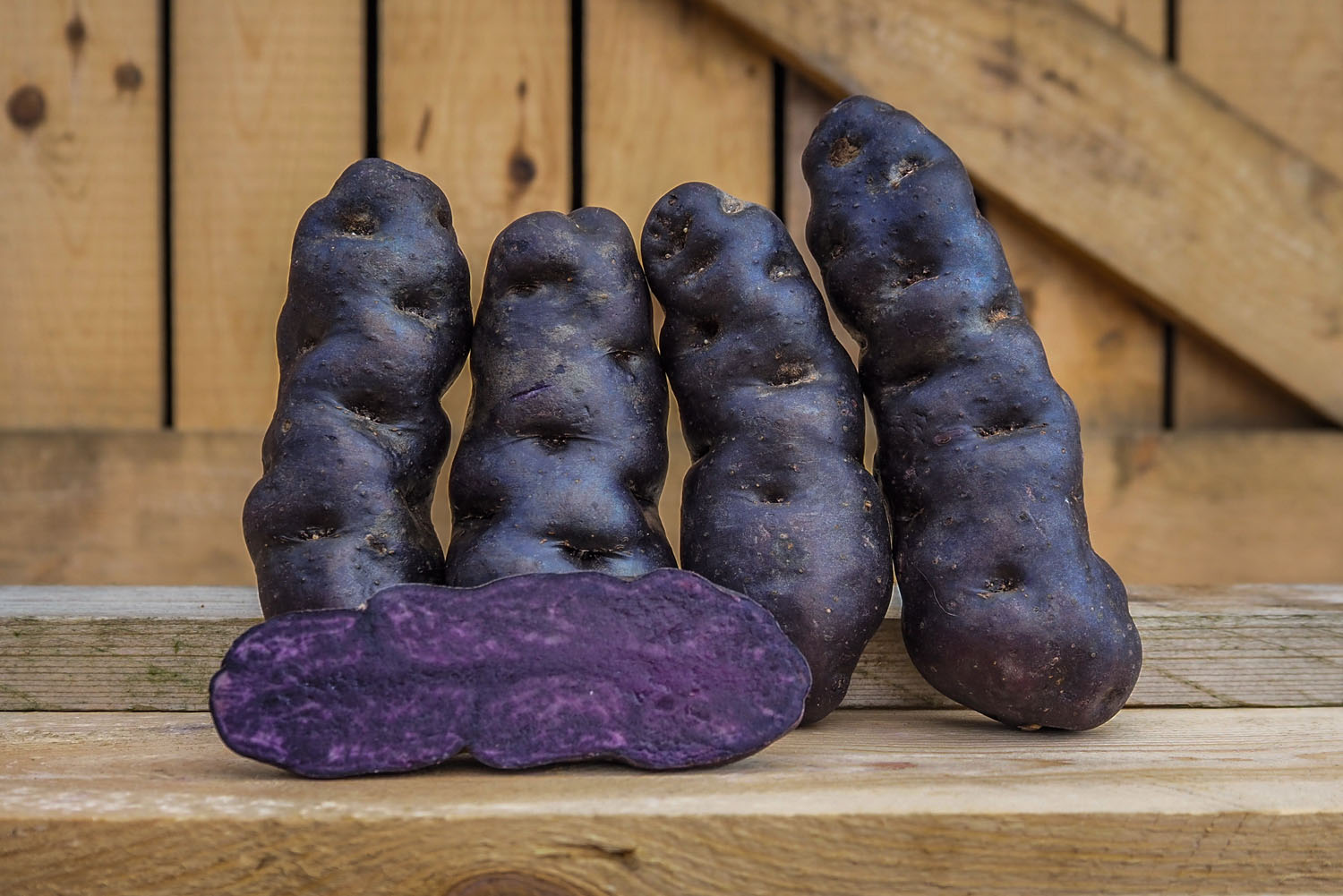 Vitelotte, pomme de terre de consommation à chair violette, chair ferme. Conditionnement en filet ou carton. Grossistes, distributeurs, importateurs, restaurateurs.